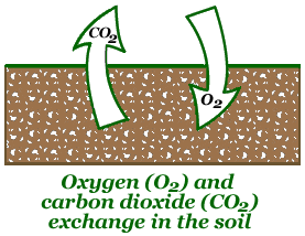 Benifits of core aeration